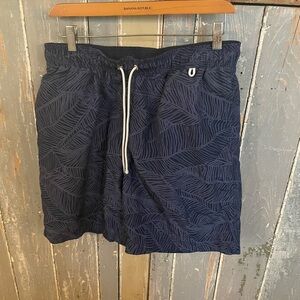 Lands end Men's Blue Swim Shorts